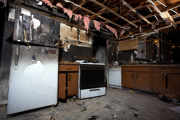 Affordable Fire Damage Removal solutions in Circle Pines, MN